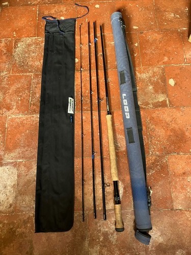 Salmon rod loop - rod, line