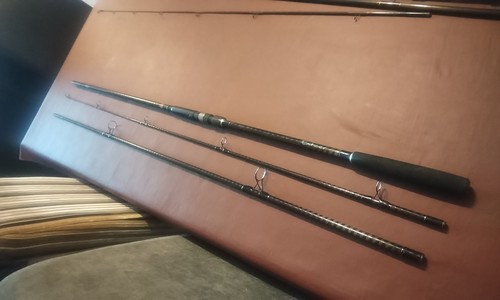 Abu garcia enticer carp - enticer, 12'