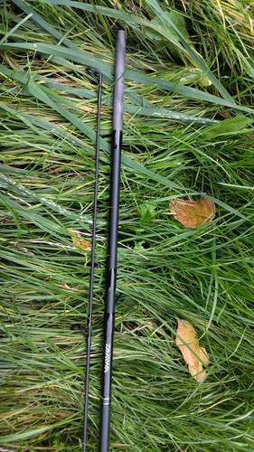 Daiwa black widow - widow, rod