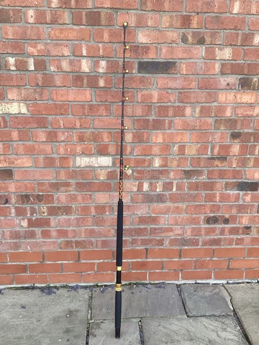Big game fishing rod 30lb - game,